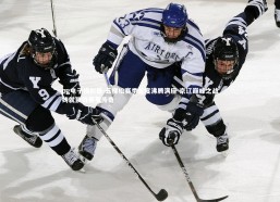 pg电子模拟器-五棵松赛季首度沸腾满座 京辽巅峰之战铸就顶级赛事传奇