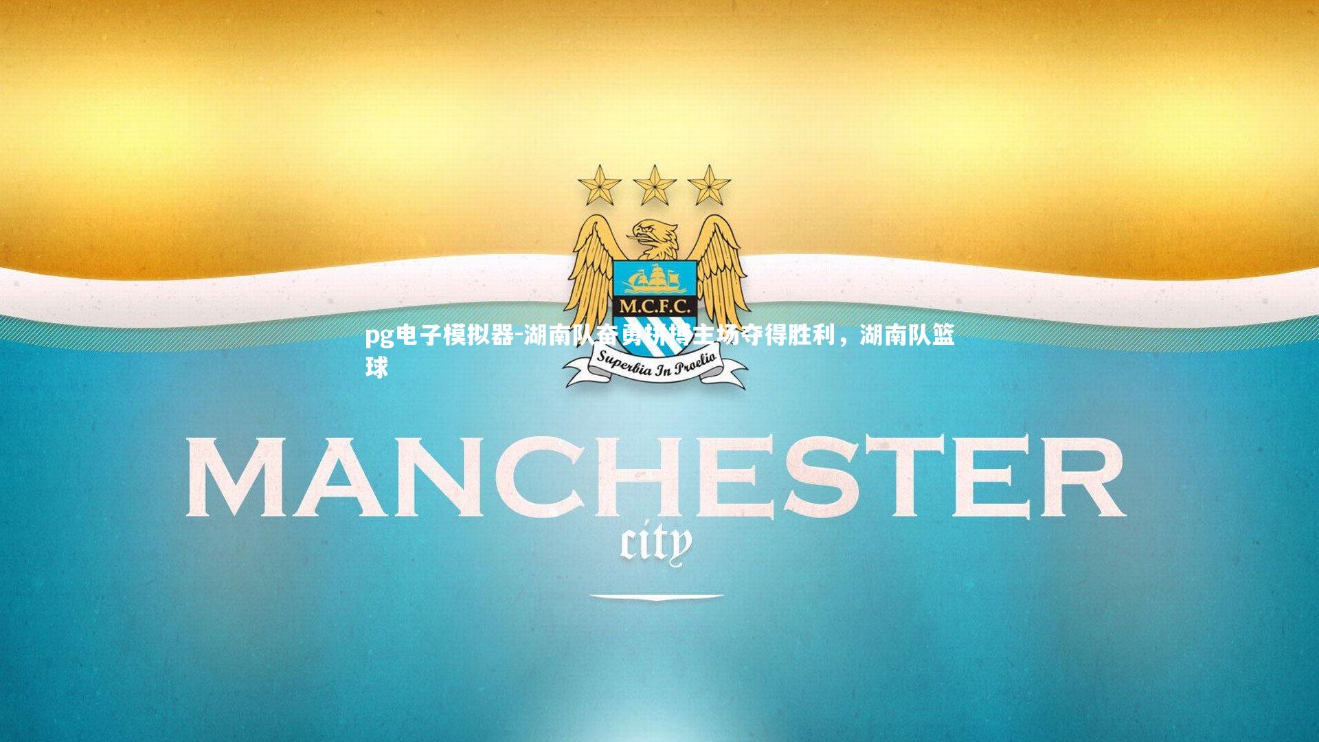 湖南队奋勇拼搏主场夺得胜利,湖南队篮球